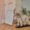 Hotel Siars Hotel Siars
