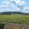 La Maison de Caro - Gevrey-Chambertin