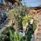 Homestay số 91-Suối Hồ Sa Pa
