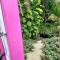St Pete beach house backyard Jungle Oasis!