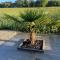 B&B Veluwemeer