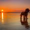 Lovely cottage in Snowdonia, private hot tub, by mountains & award winning beach - فيربورن