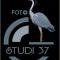Casa FotoStudi37