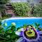 Amukan Guest House