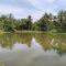 DeLakeside musslims homestay