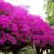 CasaNoa Luxury Villa Bed and Breakfast