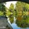 Les Jardins du Clain - Poitiers