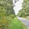 Bring your pups to Chatham Direct access to the Cape Cod Rail Trail