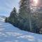 Chalet, Murat (nouveau logement)