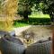 Eden palm suite & spa