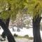 Ponderosa Creekside Retreat - Mariposa