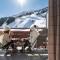 Hôtel Alpen Ruitor