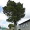 Totara Lodge Motel