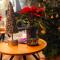 Hotel Luise Mannheim - by SuperFly Hotels