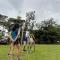 CHOCLINO ECOLODGE -Bungalows con Piscina privada, Mirador y Tours en la selva