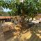Saint tropez-Gassin Bungalow LUXE 6 personnes