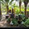 Wind in the Wild Khao Yai