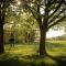 Spreewald Chalet