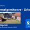 Hermelgemhoeve - Liriope
