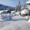 Chalet Weitsee
