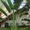 Brisas do Sul Condo Boutique