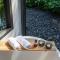 Rhy.a Private Pool Villa