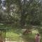 Wild Window - Forest View Homestay