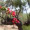 Small paradise in Saint Nicolas Village !