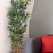 Marcq en Baroeul - Superb apartment + parking