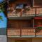 Pic-Chaussy B14