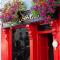 Greville Arms Hotel Mullingar - Mullingar