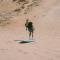 Surf Mirleft