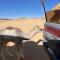 Wadi Rum albasli camp
