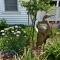 Cozy Algoma Retreat! Minutes to Beach and Downtown! - Algoma