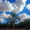 Dream Lodge Siwa دريم لودج سيوة