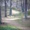 Gut-Rattelvitz-Parterre-C-hochwertig-Sauna-Kamin-eTankstelle-Spielscheune-15-000qm-Parkland