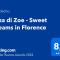 Casa di Zoe - Sweet Dreams in Florence
