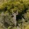 Wildehondekloof Game Lodge