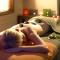 Bridge House Hotel, Leisure Club & Spa