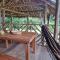 Rainforest Hut
