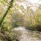 Afonfa - Llanuwchllyn