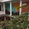 Colors House