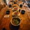 Wolf Totem Lux Backpacker Studio Loft