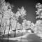 Luxury Mountain Retreat with Spa Near Mont Tremblant