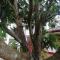 Sunshine Guest House