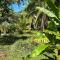 Popochos Beach Eco Lodge