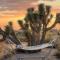 Desert Diamond- Joshua Tree Cowboy Pool and Spa - Yucca Valley