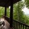 Black Mountain Log Cabin Secluded, Pet-friendly 3BD with Hot Tub & Views!