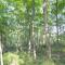 Mqple Haven -- Wifi, Fireplace, Deck, Fire Pit, Family Friendly, Game Room, Pool Access - Berkeley Springs