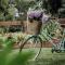 Mountview Alpaca Farmhouse
